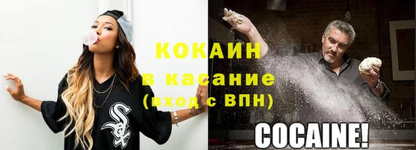 стафф Карпинск
