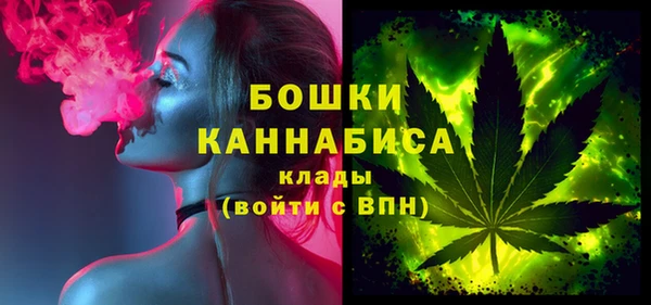 тгк Каменка