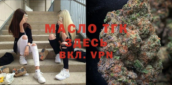 индика Кинешма