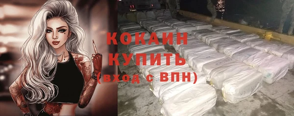 стафф Карпинск