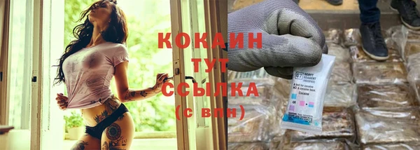 стафф Карпинск