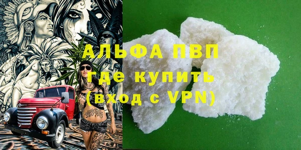 стафф Карпинск